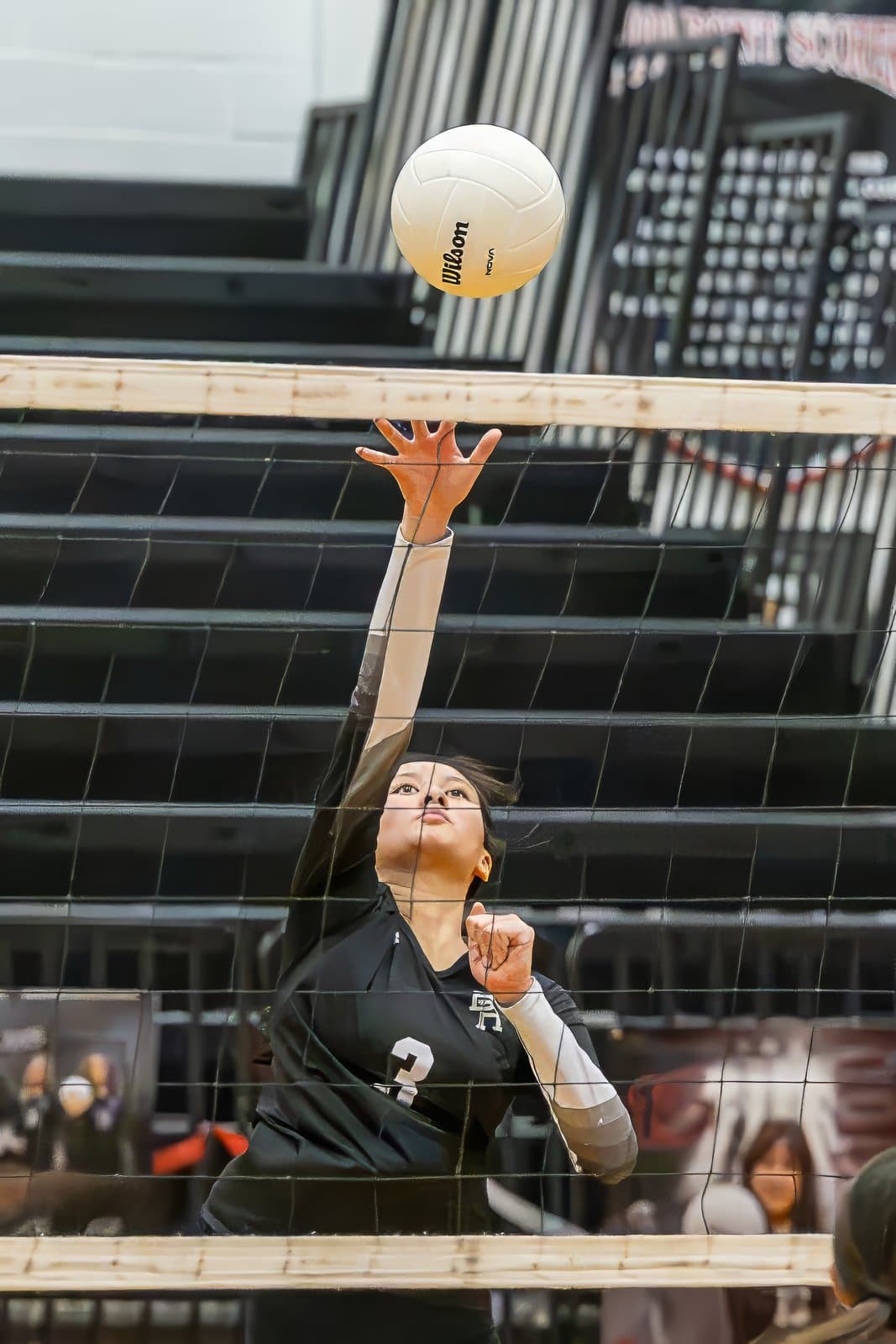 Bridgewater-Raritan Panther Girls Volleyball — Zarcone Photography, New Jersey