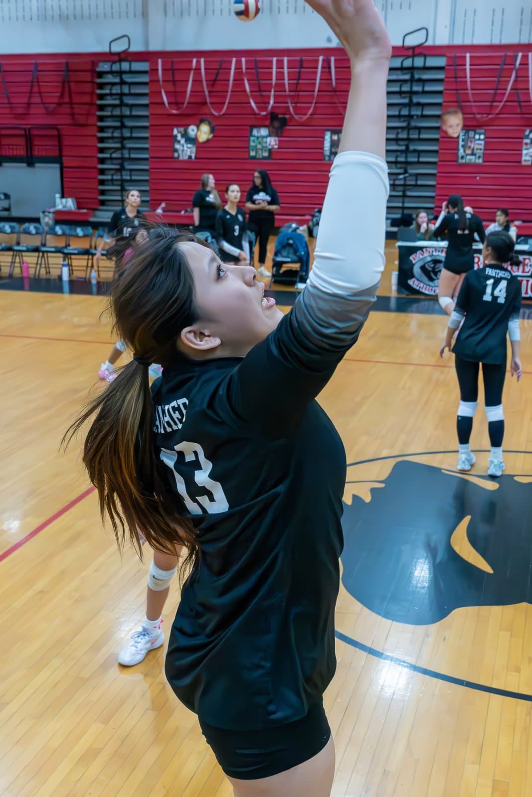 Bridgewater-Raritan Panther Girls Volleyball — Zarcone Photography, New Jersey