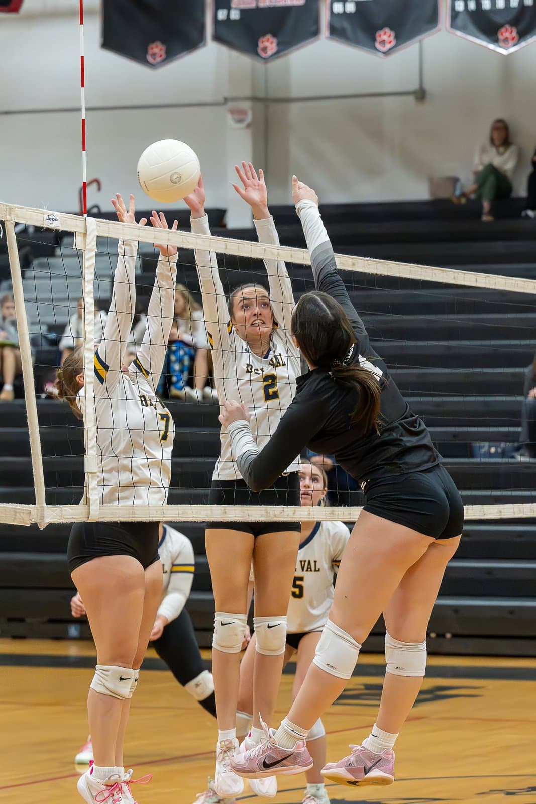Bridgewater-Raritan Panther Girls Volleyball — Zarcone Photography, New Jersey