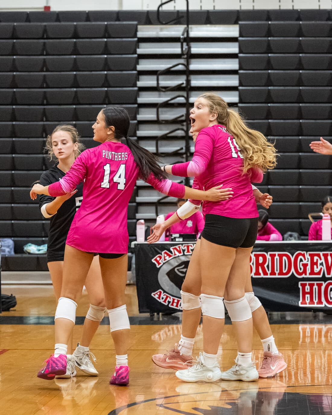 Bridgewater-Raritan Panther Girls Volleyball — Zarcone Photography, New Jersey