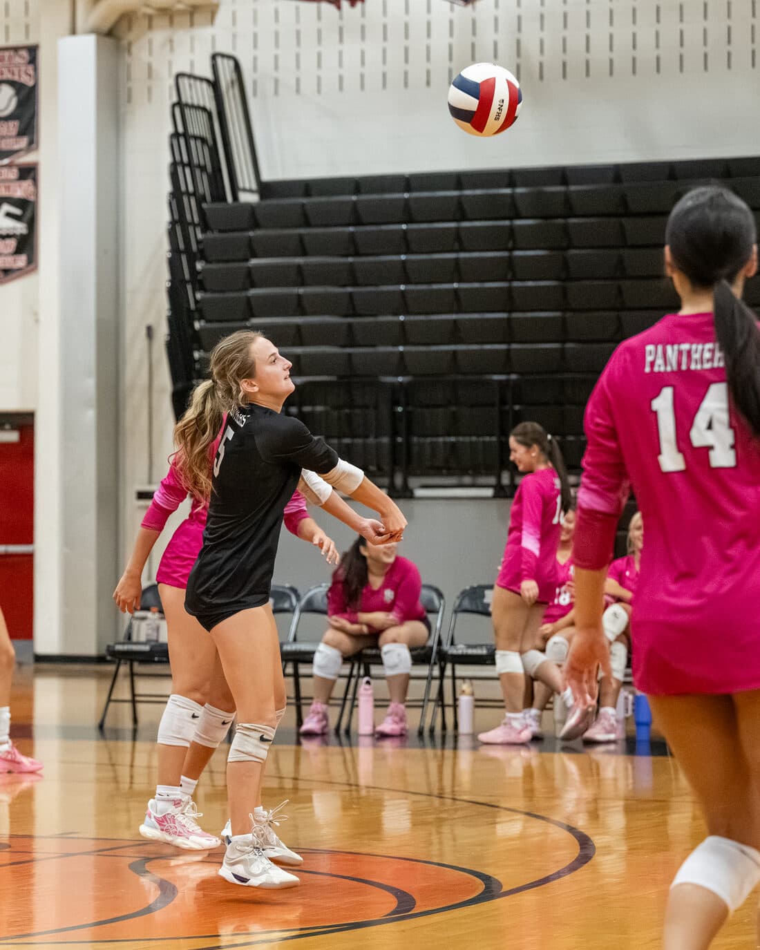 Bridgewater-Raritan Panther Girls Volleyball — Zarcone Photography, New Jersey