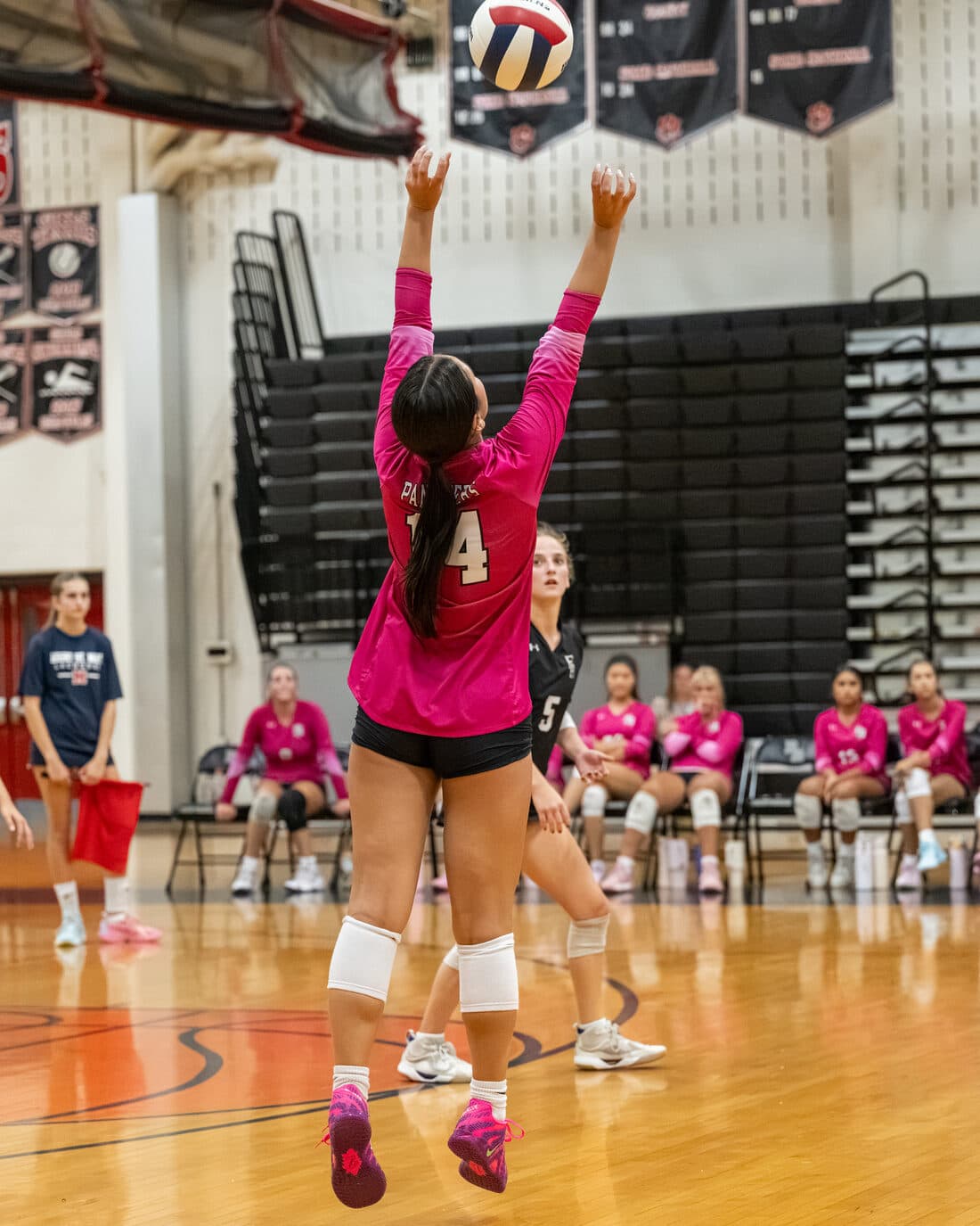 Bridgewater-Raritan Panther Girls Volleyball — Zarcone Photography, New Jersey