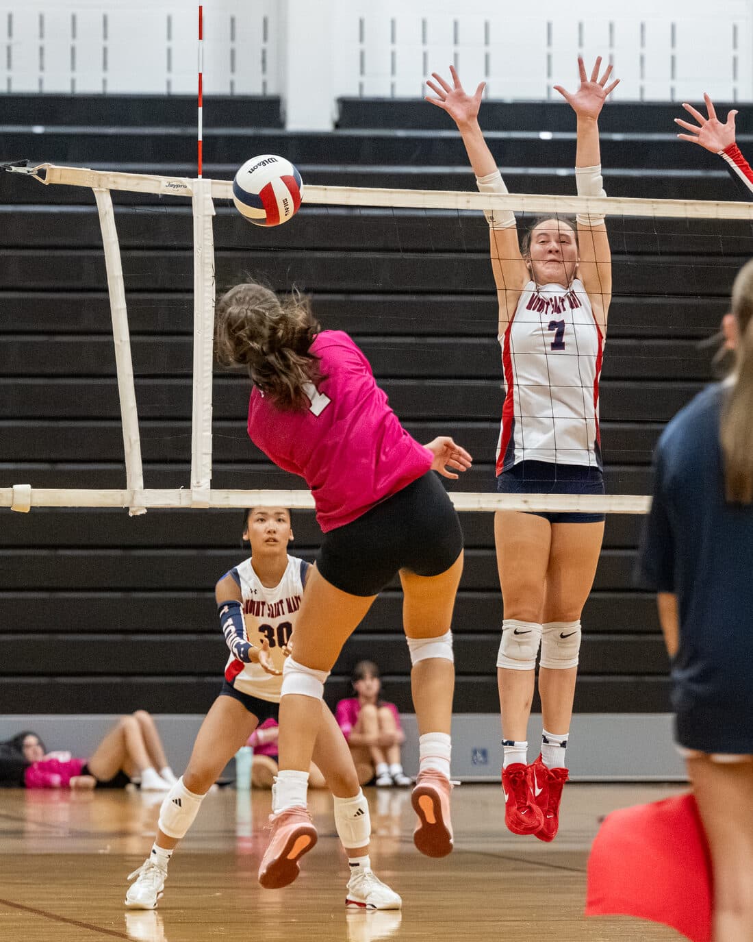 Bridgewater-Raritan Panther Girls Volleyball — Zarcone Photography, New Jersey