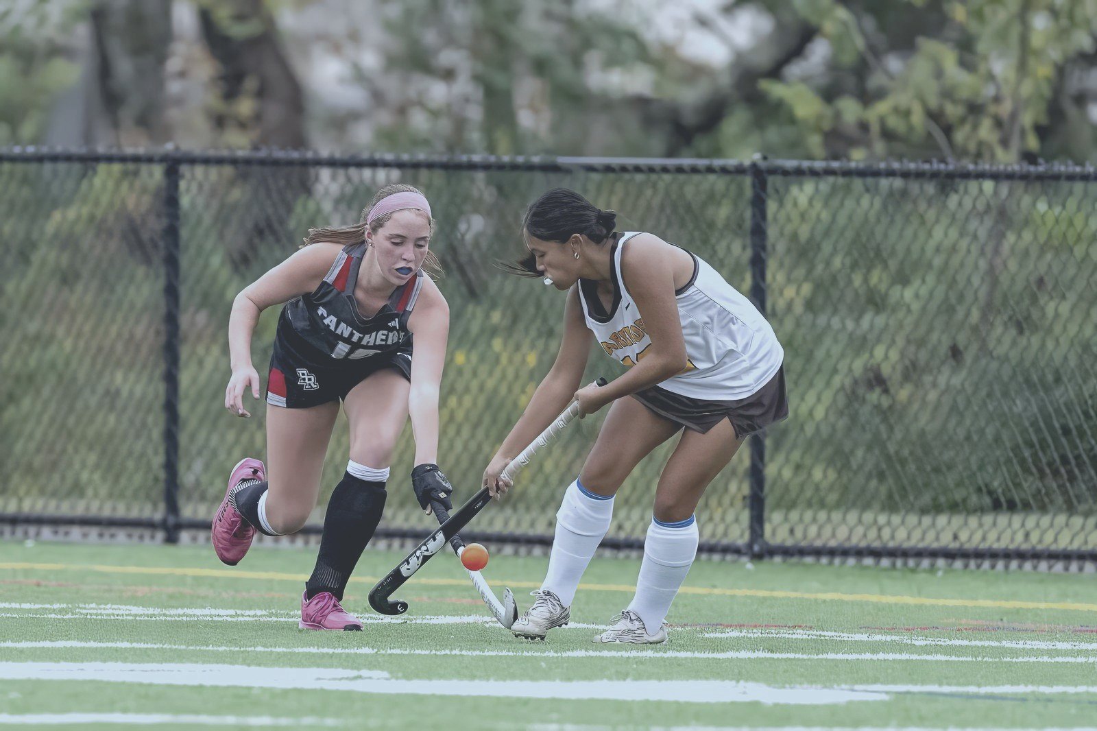 Other photography — Zarcone Photography, New Jersey